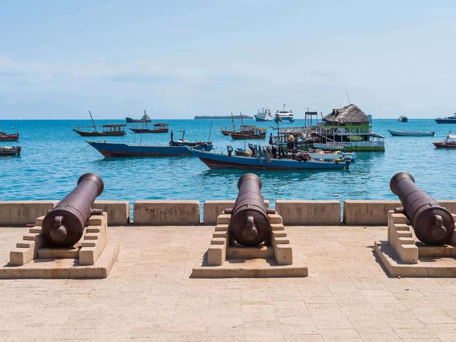 Zanzibar: Stone Town City Tour and Spice Farm with Lunch - City Market and fish auctions: the local food economy in real time