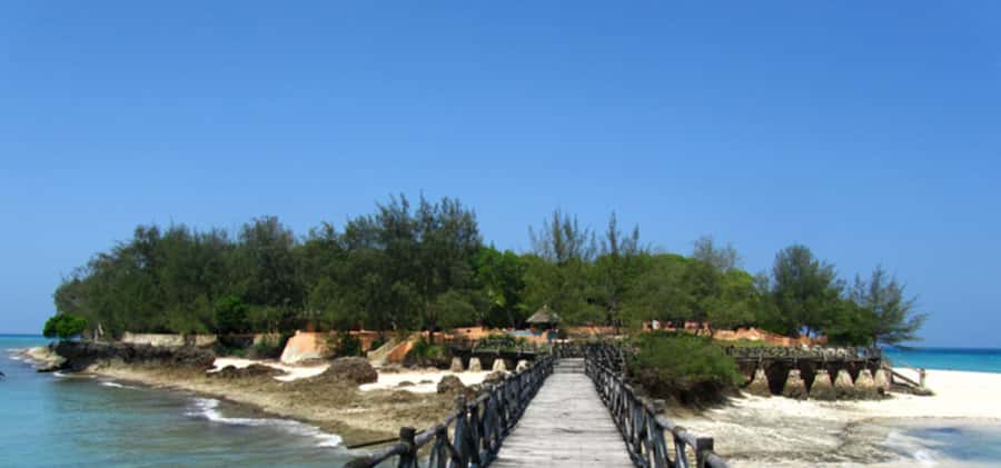 Zanzibar: Stone Town Guided Tour with Prison Island - Key things you’ll notice fast