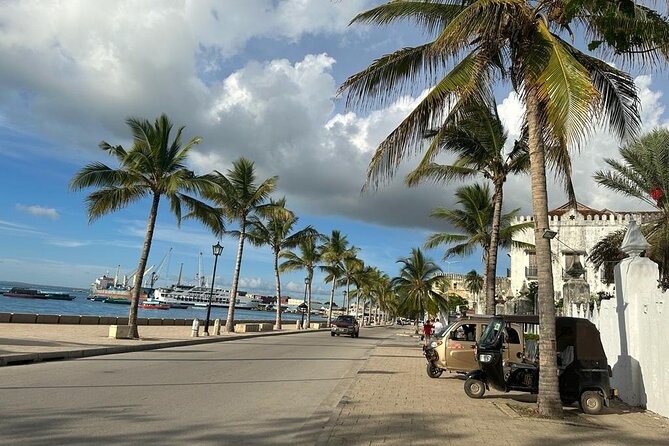 Zanzibar Stone Town Highlight walking tour - Who This Private Stone Town Tour Is Best For