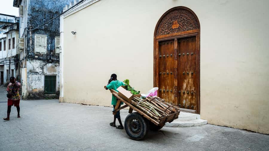 Zanzibar: Stone Town Historical Cultural Walking Guided Tour - What You Will See: Palace Museum, Old Fort, and the Alley Network