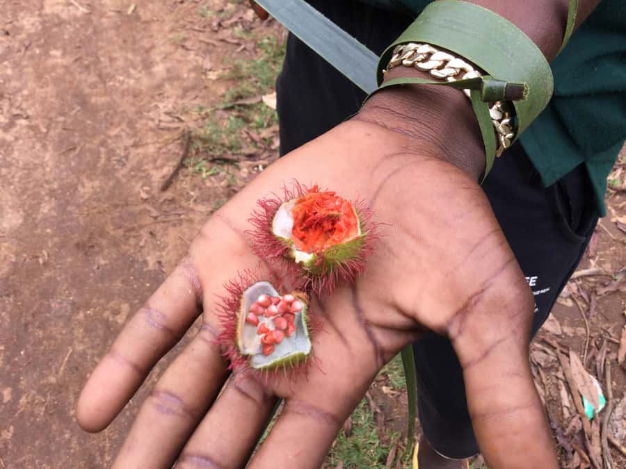 Zanzibar:Stone Town & Spice Farm Private Tour Lunch Included - Key things that make this tour worth your time