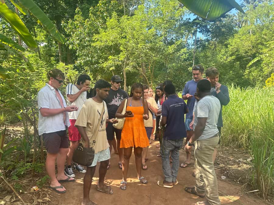 Zanzibar:Stone Town & Spice Farm Private Tour Lunch Included - The Van Ride Into Stone Town: Short Transfer, Real Focus