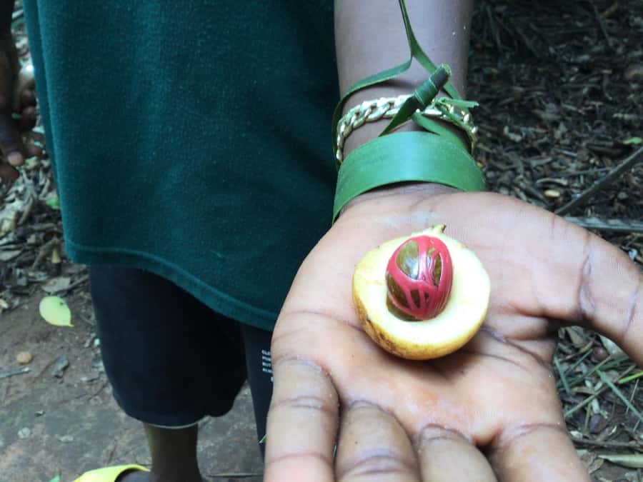 Zanzibar:Stone Town & Spice Farm Private Tour Lunch Included - Old Fort’s Portuguese Footprint and What You’ll Notice While Walking