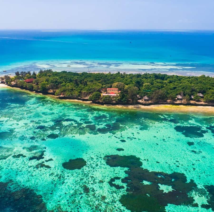 Zanzibar: Stone Town, Spice Tour, Prison Island with Lunch - Prison Island (Changuu): Aldabra tortoises plus a history lesson