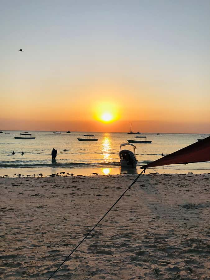 Zanzibar: Sunset Dhow Cruise - Snacks, fruit, and drinks: value for $19