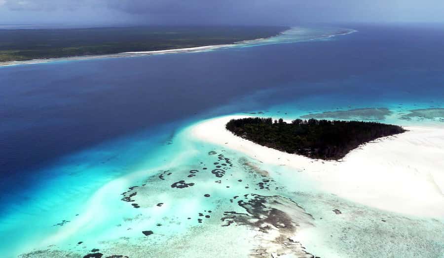 Zanzibar : Swim with dolphin + Snorkel mnemba coral Reef - Price and value: is $24 per person fair for what you get?