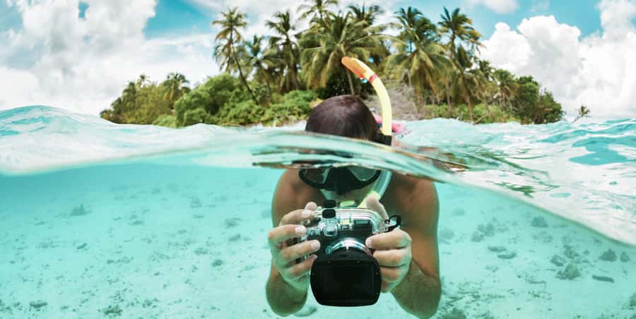 Zanzibar : Swim with dolphin + Snorkel mnemba coral Reef - From Mnemba Island to the reef: what the snorkeling experience is really like