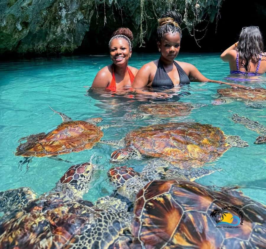 Zanzibar: Swimming with Turtles at Salaam Cave Aquarium - Key things that make this turtle swim worth it