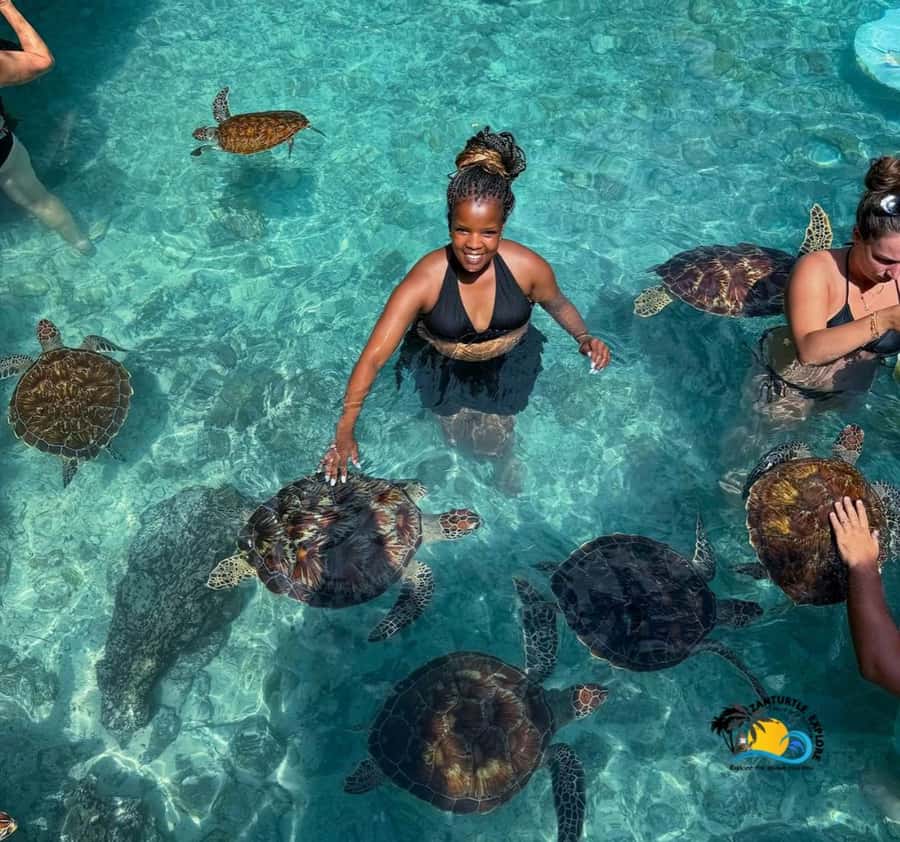 Zanzibar: Swimming with Turtles at Salaam Cave Aquarium - Salaam Cave Aquarium, Kizimkazi: why this turtle experience feels different