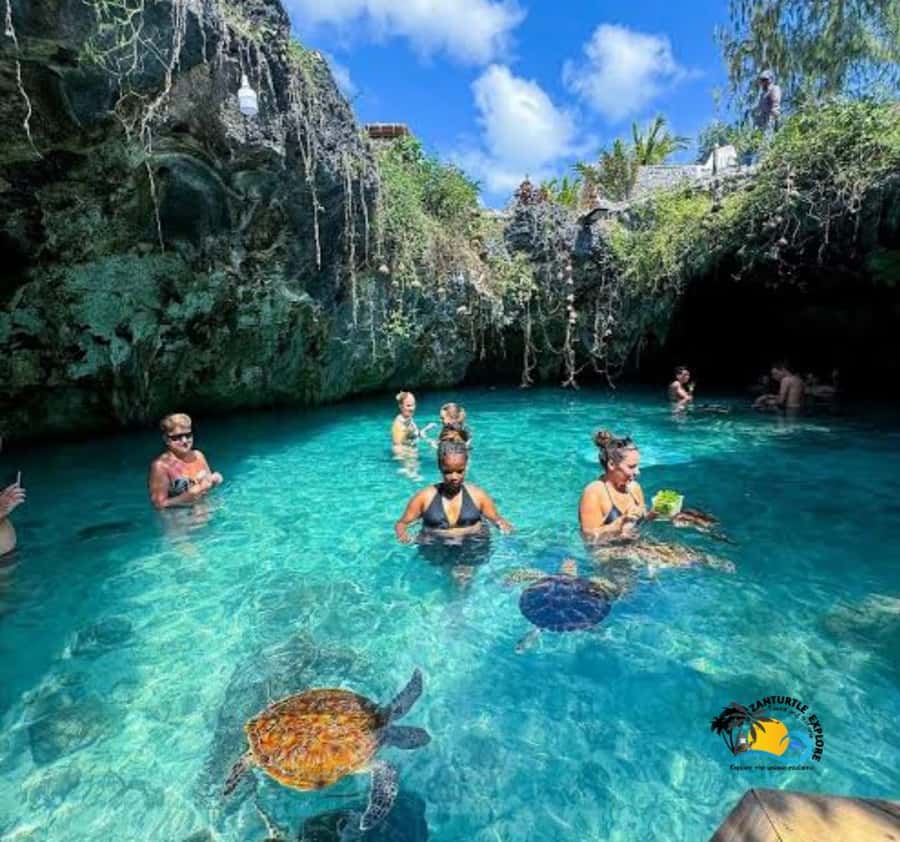 Zanzibar: Swimming with Turtles at Salaam Cave Aquarium - The cave walk, photos, and why your feet matter