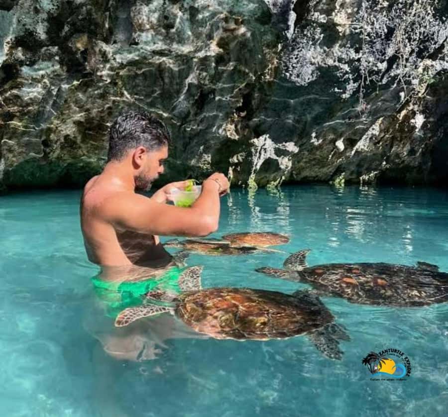 Zanzibar: Swimming with Turtles at Salaam Cave Aquarium - Price and value: is $56 per person actually fair?