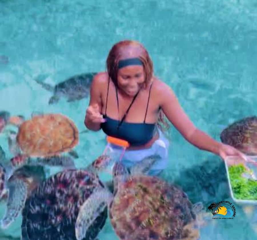 Zanzibar: Swimming with Turtles at Salaam Cave Aquarium - Who should book this turtle swim, and who should think twice
