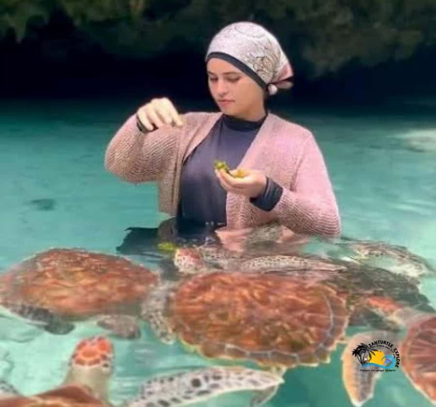 Zanzibar: Swimming with Turtles at Salaam Cave Aquarium - Practical tips before you go: packing and behavior