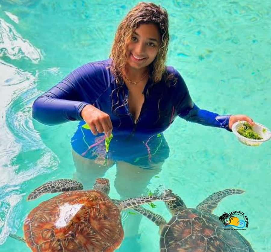 Zanzibar: Swimming with Turtles at Salaam Cave Aquarium - Should you book Swimming with Turtles at Salaam Cave Aquarium?