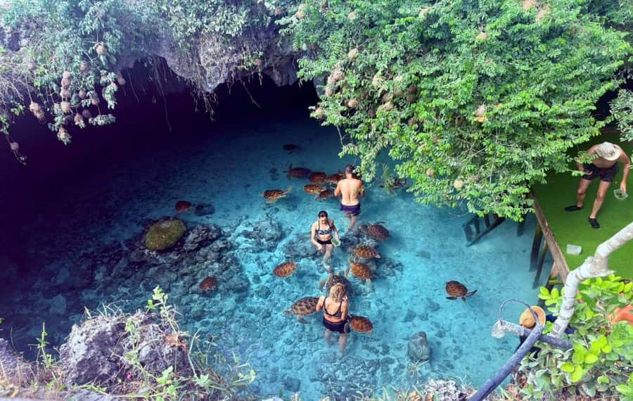 Zanzibar: The Rock, Paje Beach, Jozani Forest, Salaam Cave - FAQ