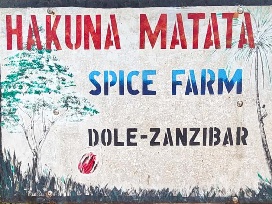 Zanzibar: The Swahili Spice Experience - Spice Tour + Culinary Journey - Drinks, cocktails, and what costs extra