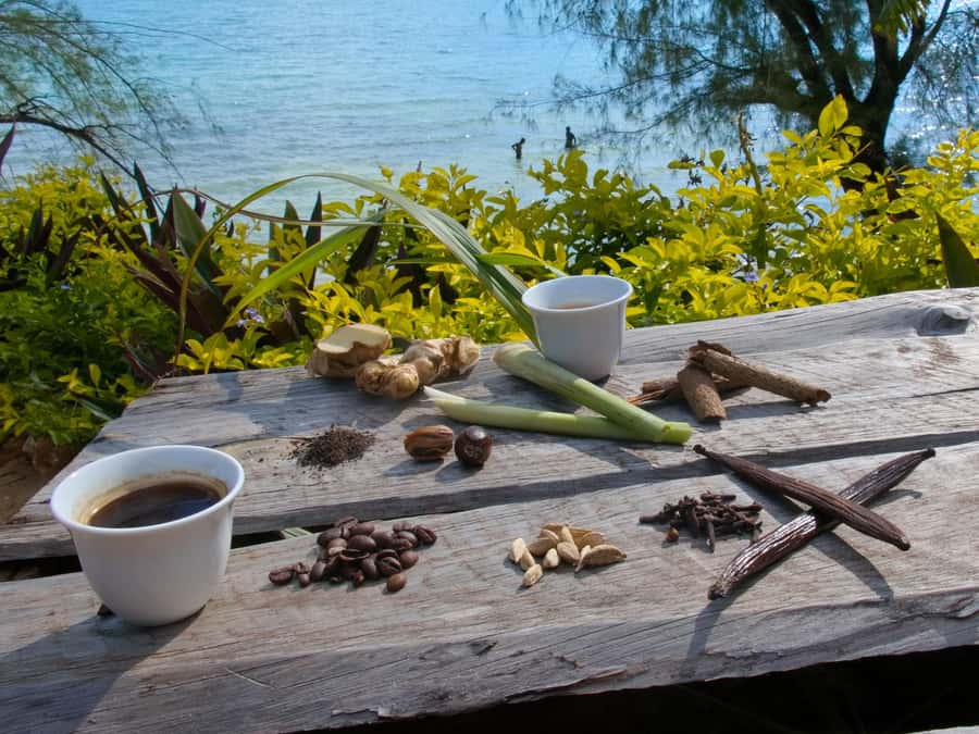 Zanzibar: The Swahili Spice Experience - Spice Tour + Culinary Journey - The spice farm walk: seeing pepper, cinnamon, vanilla, and more